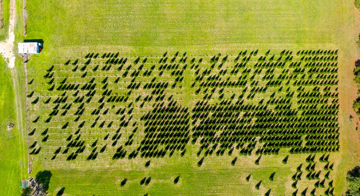 185  McNamaras Road, Sarsfield, VIC, 3875 - Image 17